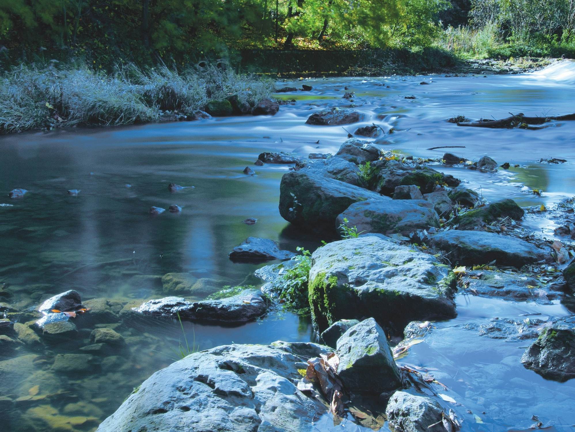 Th i Stock 1183603109 chromie